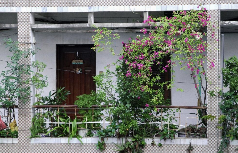 How To Start A Balcony Garden