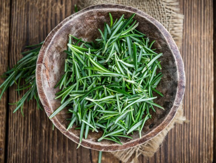 metaphysical properties of rosemary