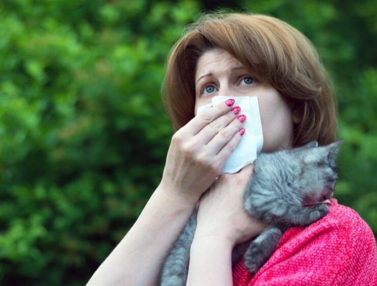 natural remedies for seasonal allergies