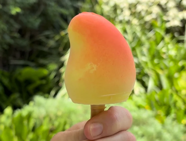 propitious mango ice cream