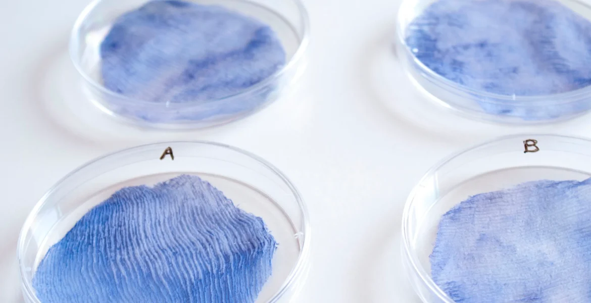 Biodegradable textiles