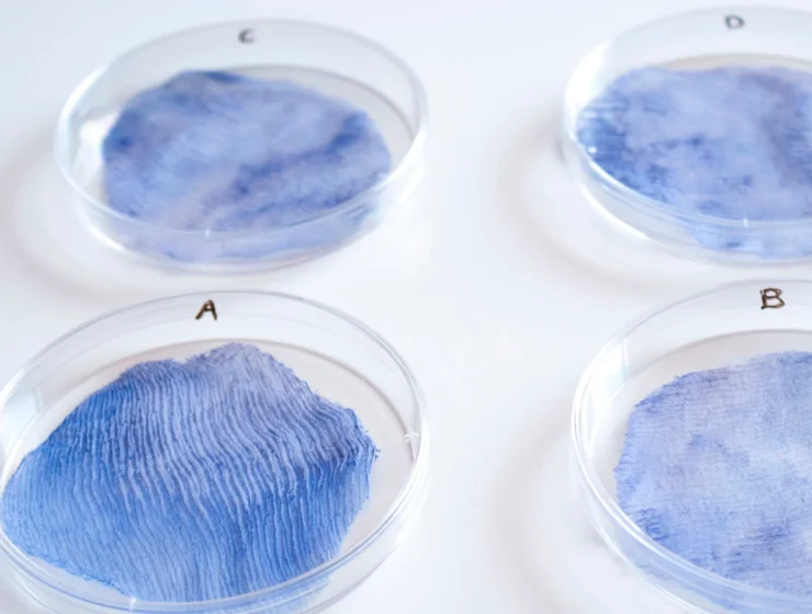 Biodegradable textiles