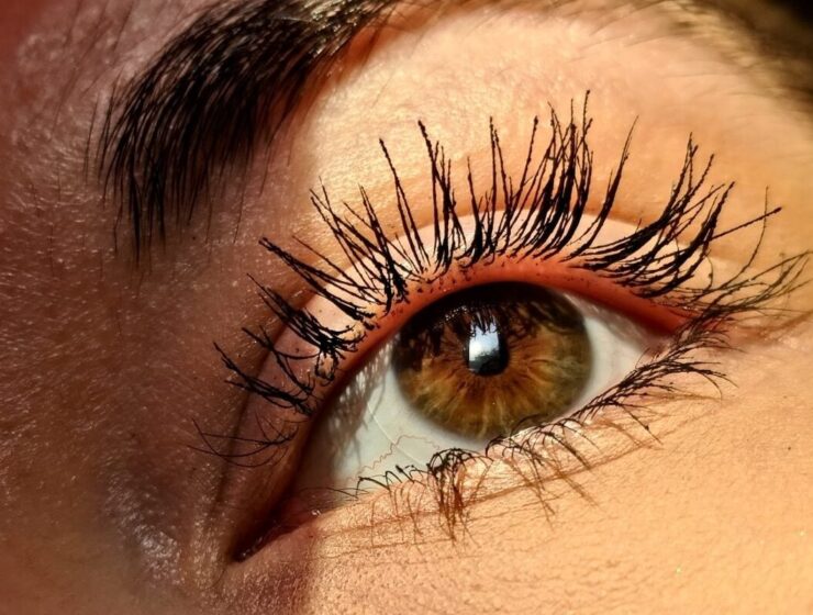 best mascaras for short lashes