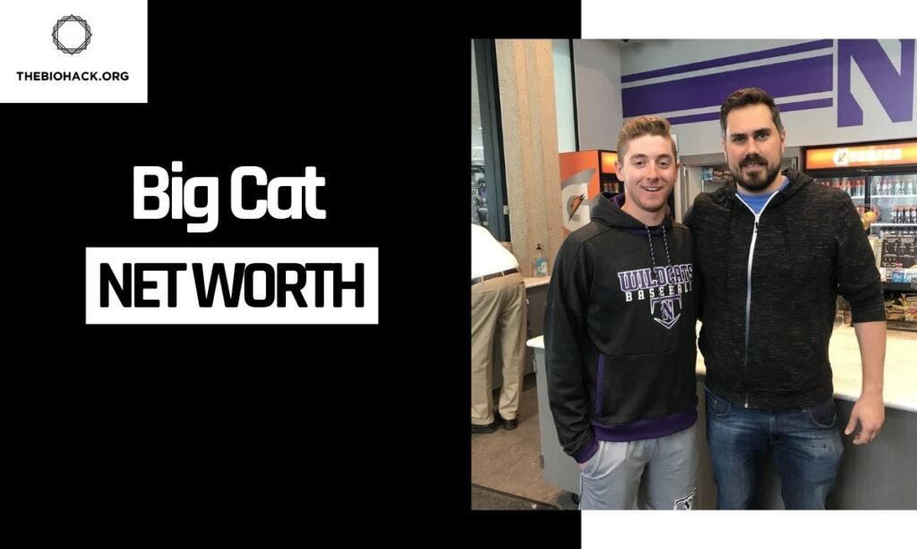 Big Cat Net Worth