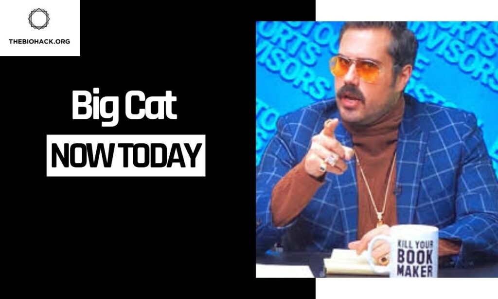 Big Cat Now Today
