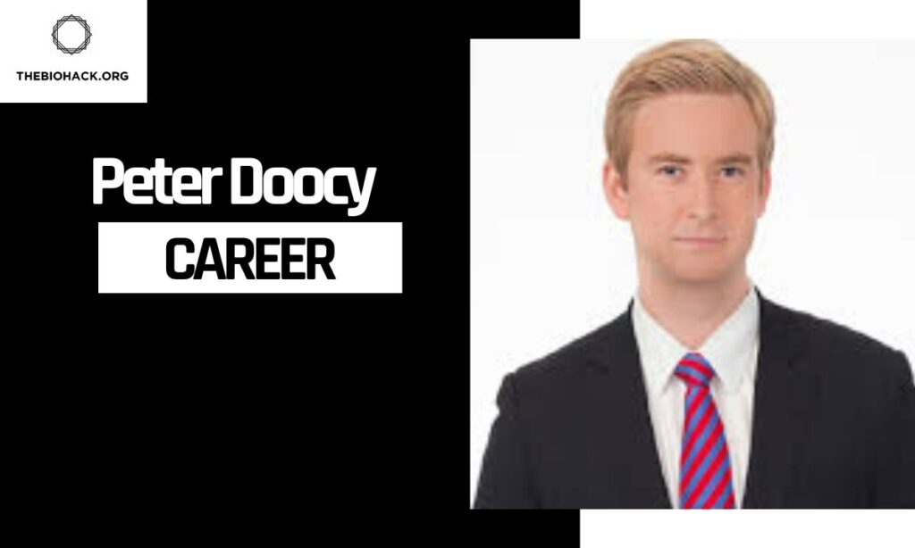 Peter Doocy's Career