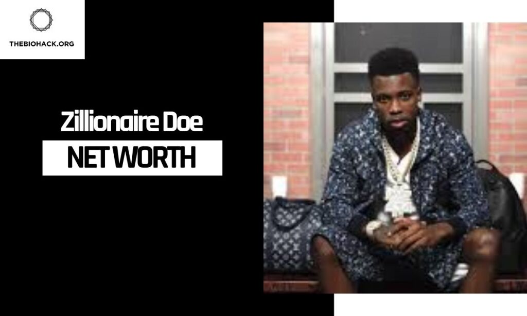 Zillionaire Doe Net Worth