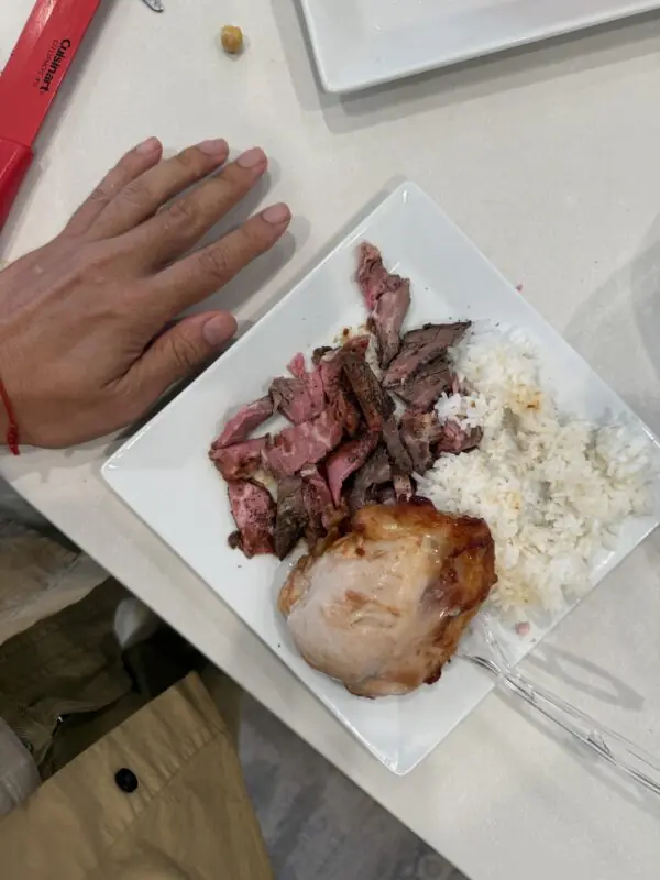 Steak, chicken and white rice photographed with hand for scale.