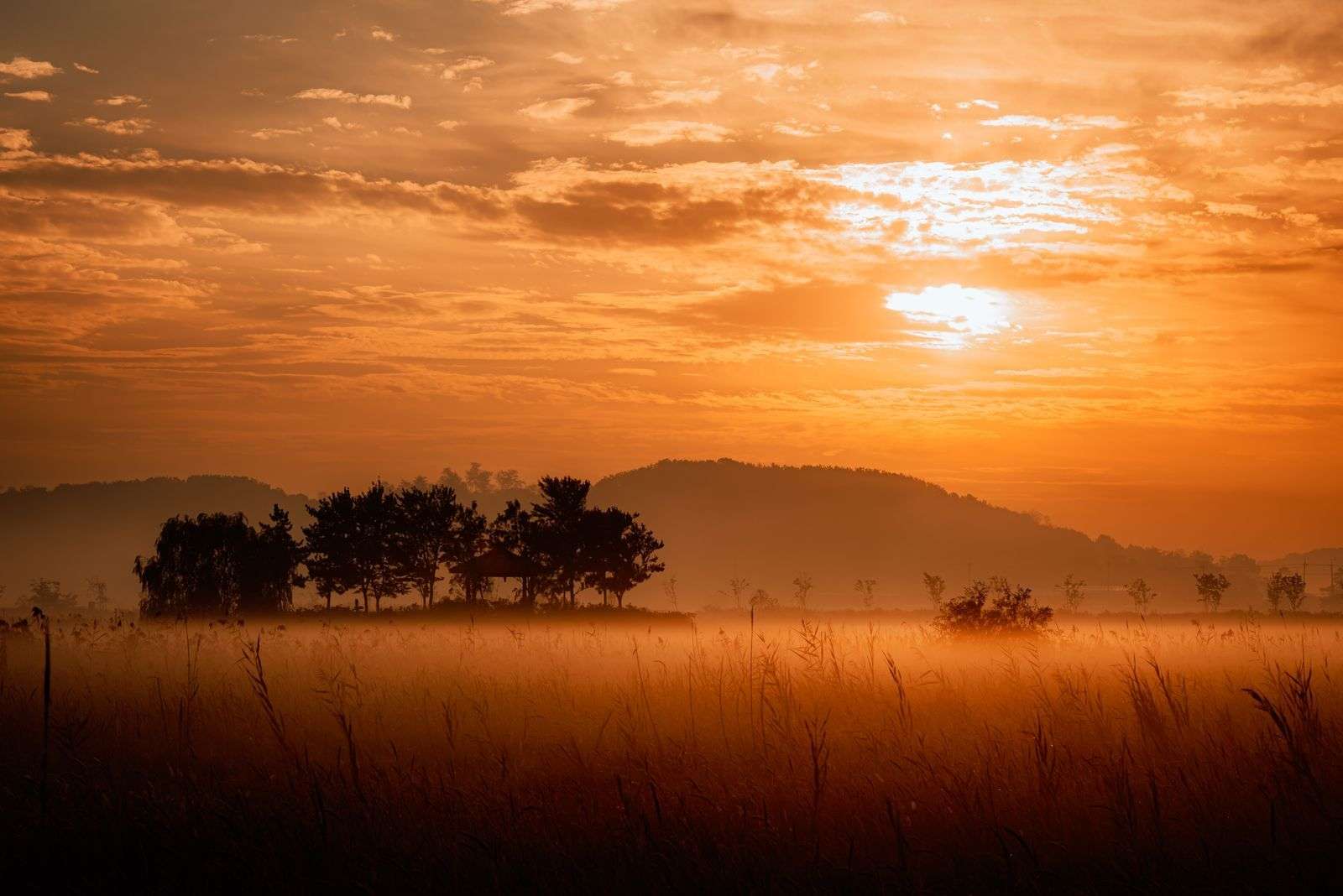 Sunrise over a misty hillside at dawn, reflecting on safe dry fasting limits