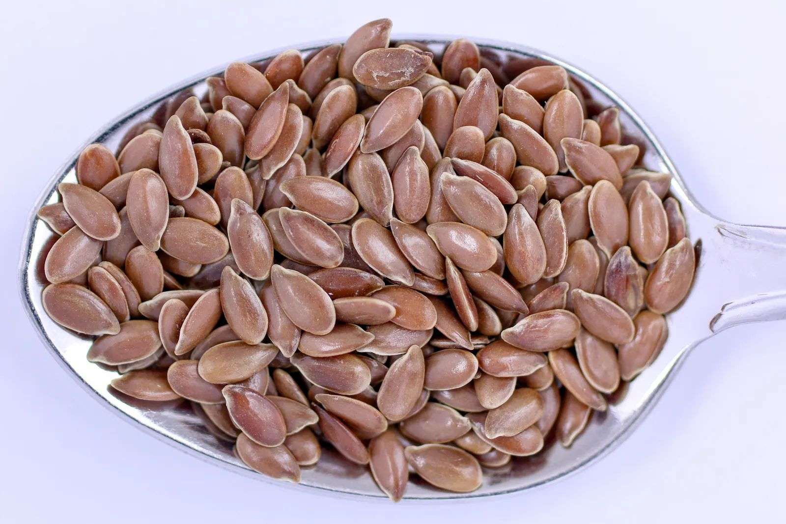 Flaxseeds piled in a metal spoon, the richest plant source of the ALA omega-3s compared in fish oil vs flaxseed oil