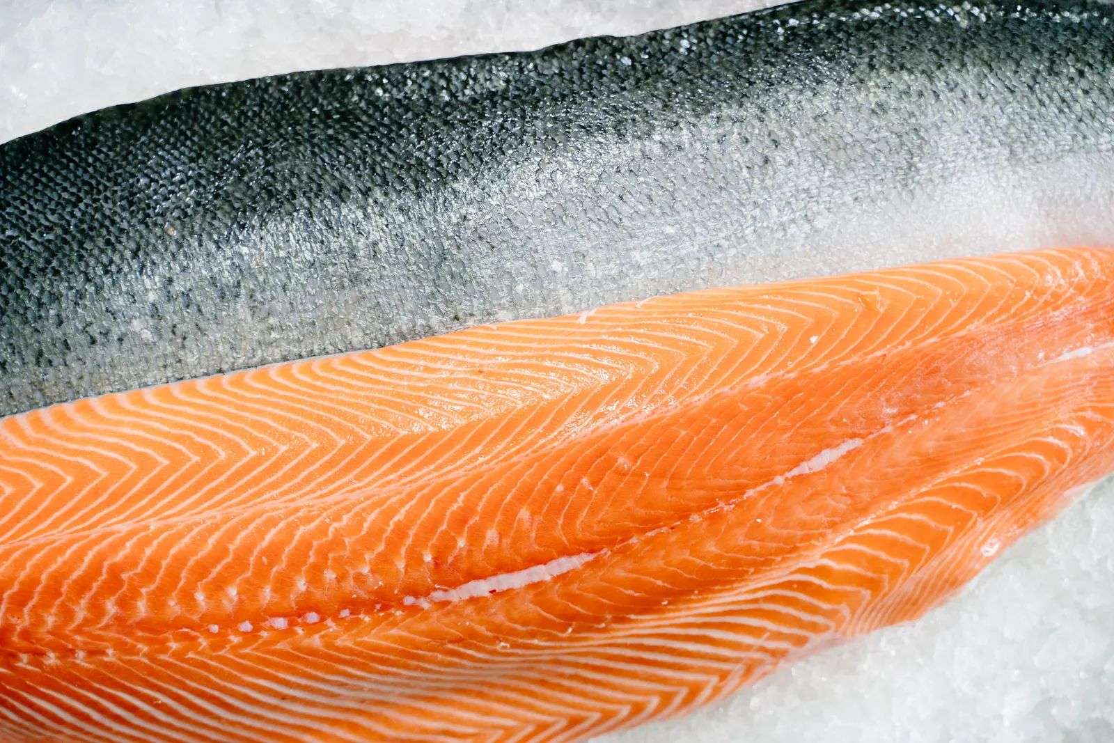 Fresh salmon fillet on ice, a top dietary source of the EPA and DHA omega-3s compared in fish oil vs flaxseed oil
