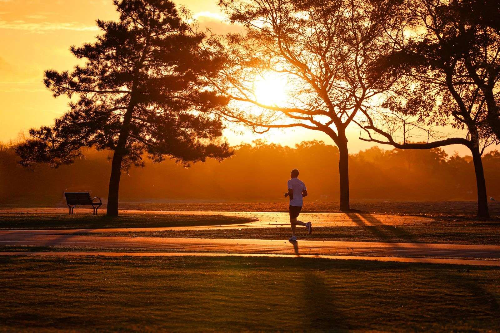 Person jogging at sunrise in a park, a daily walk or run that helps lower blood pressure naturally