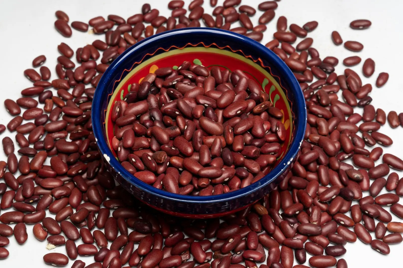 Close-up of red kidney beans in a bowl, a high-lectin food central to the lectin myth debate