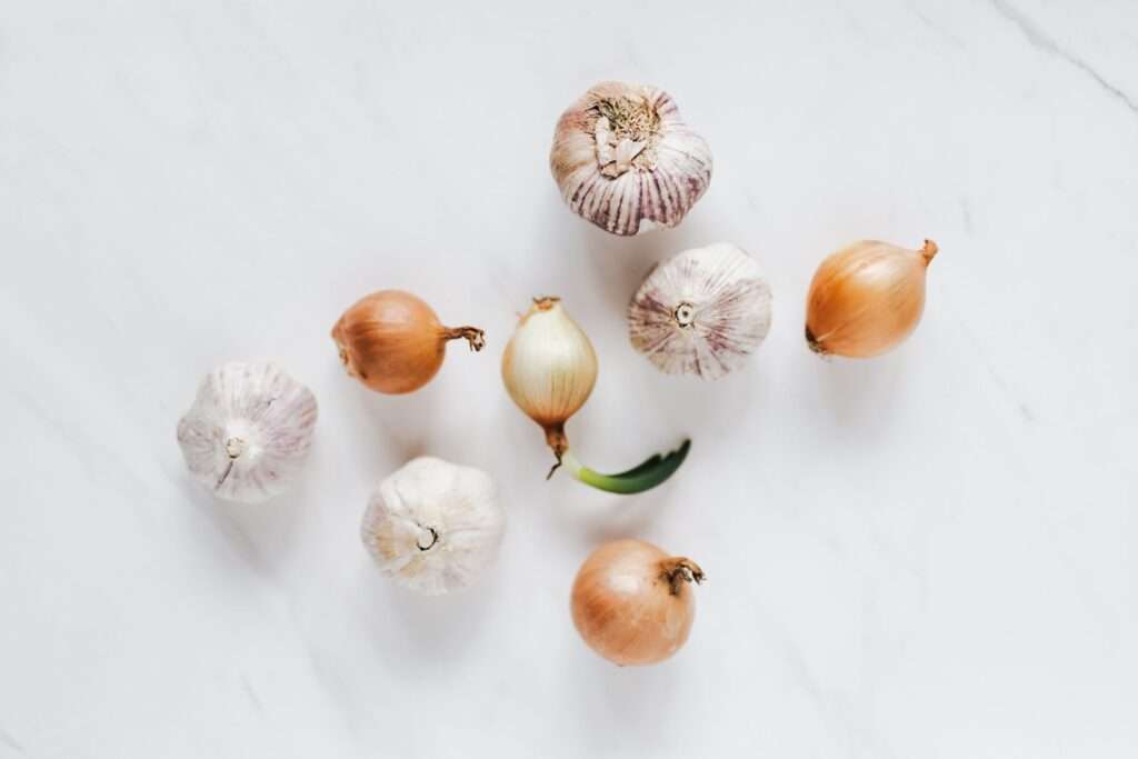 Raw garlic and onions, top prebiotic fiber foods, in this prebiotics vs probiotics guide