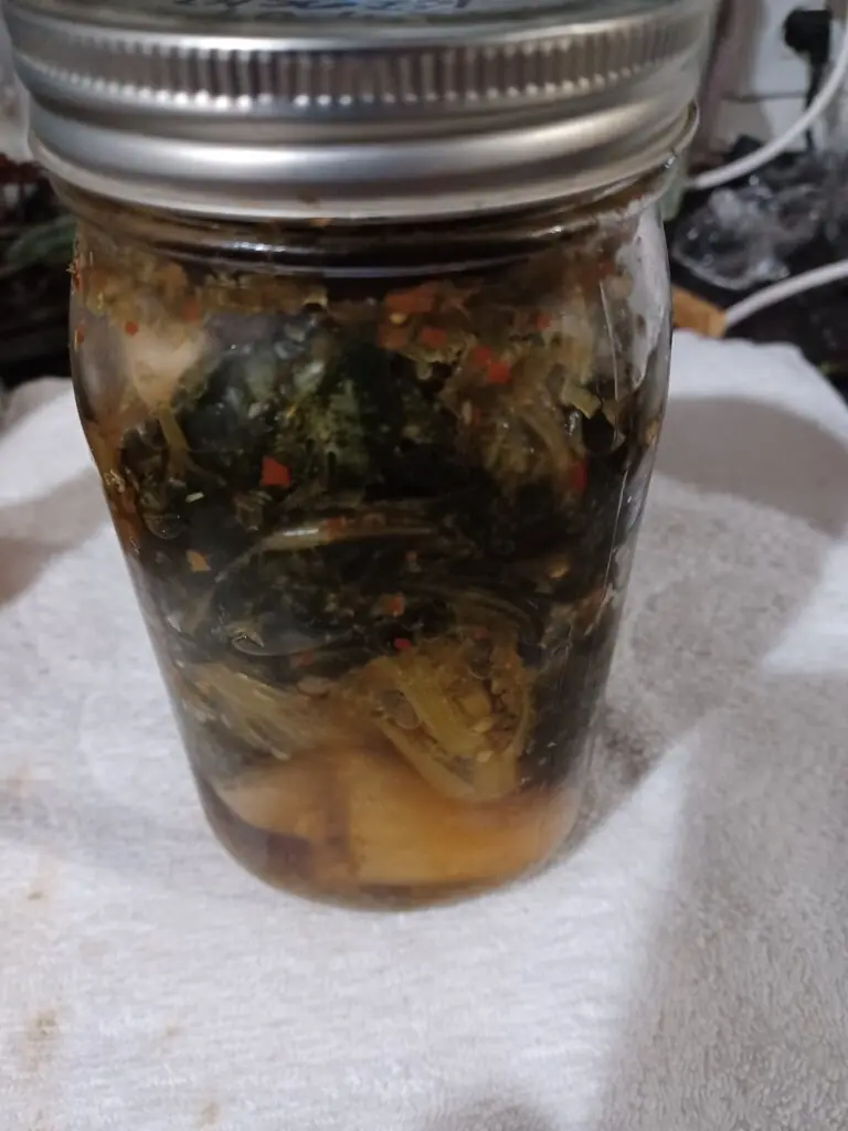 Glass jar of homemade kimchi fermenting on a kitchen counter