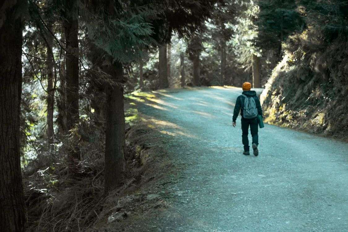 Person walking on a forest road after a meal, one of the proven walking after eating benefits
