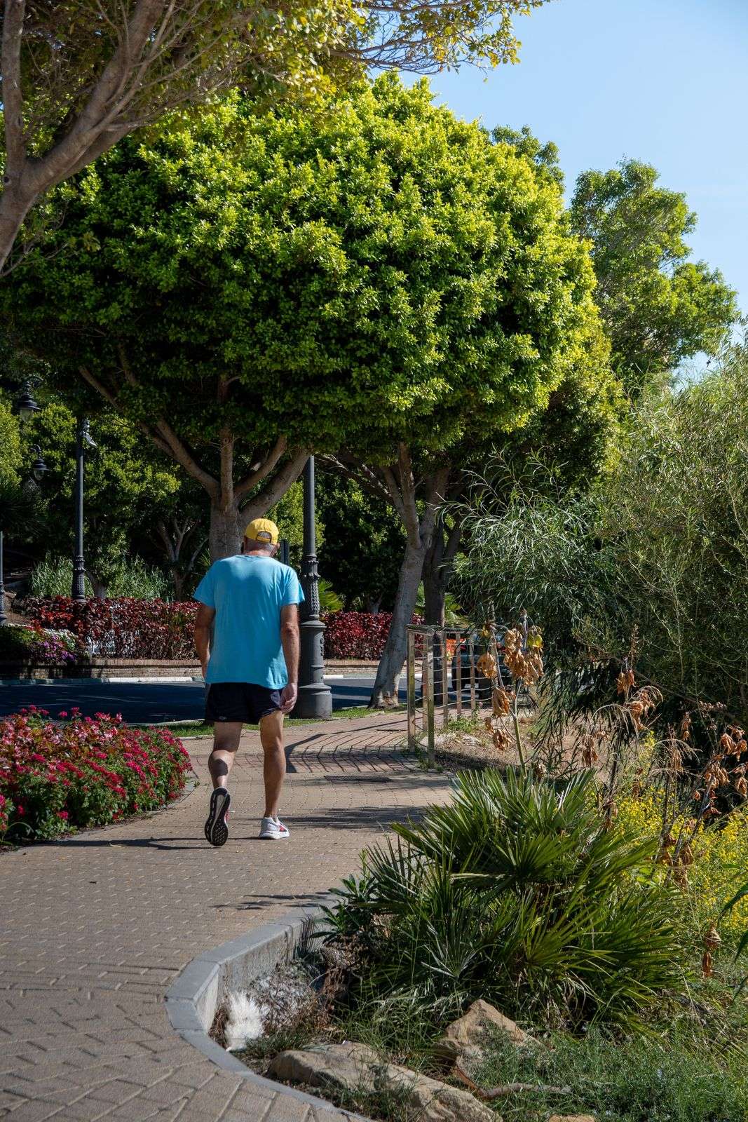 Back view of a person in sportswear walking on a sunny park path, part of a daily walking for longevity routine